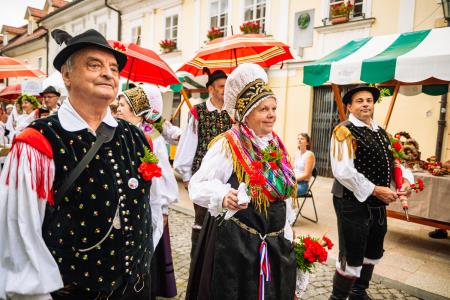 Povorka ob dnevih narodnih noš in oblačilne dedščine (93)